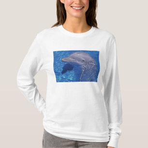 Camiseta Delfín Mular, Tursiops Truncatus