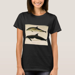 Camiseta Delfines antiguos, mamíferos marinos Animales 