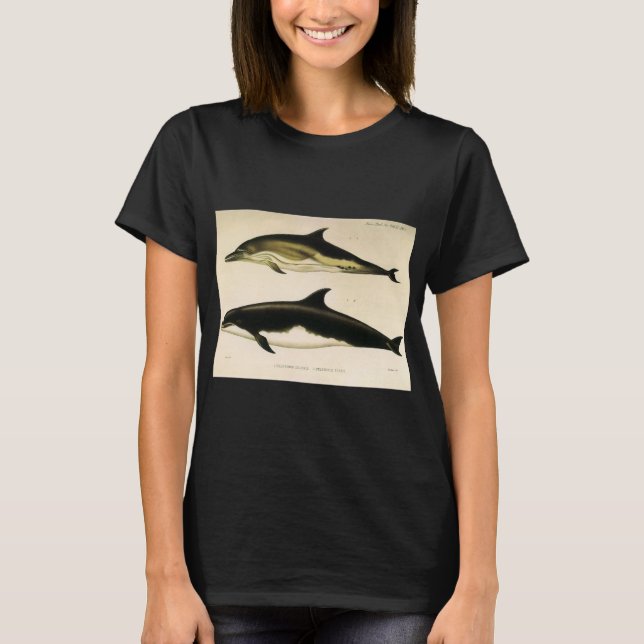 Camiseta Delfines de época, animales marinos y mamíferos (Anverso)