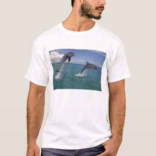 Camiseta delfines del Caribe, de nariz de botella