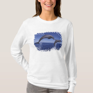 Camiseta delfines del Caribe, nariz de botella