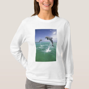 Camiseta Delfines mulares Tursiops truncatus