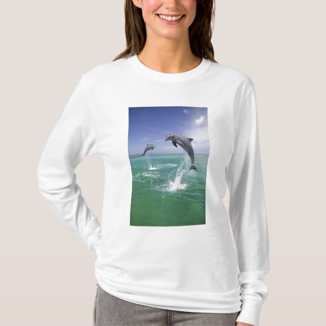 Camiseta Delfines mulares Tursiops truncatus (Anverso)