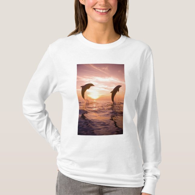 Camiseta Delfines mulares Tursiops truncatus (Anverso)