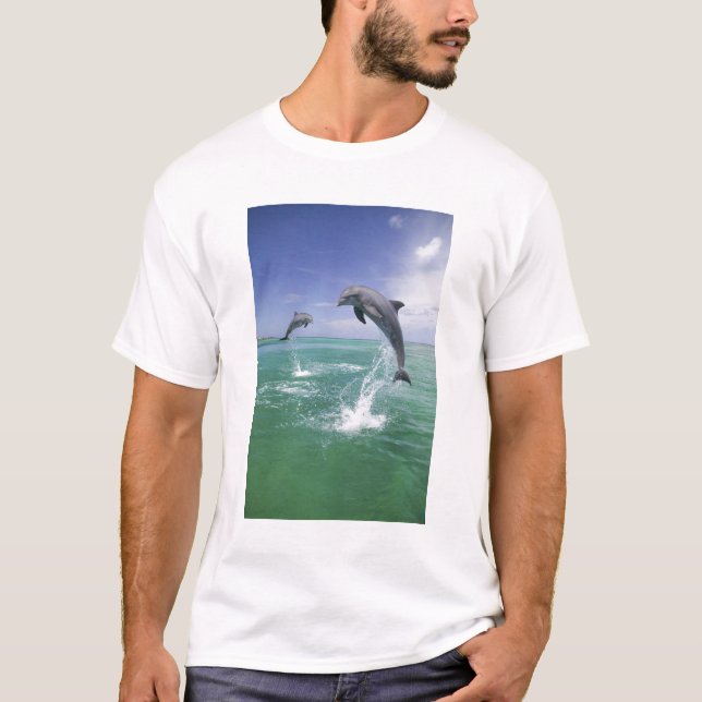 Camiseta Delfines mulares Tursiops truncatus (Anverso)