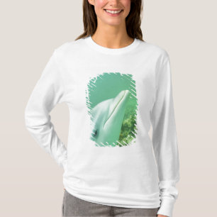 Camiseta Delfines mulares Tursiops truncatus