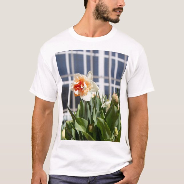 Camiseta Delicada primavera de daffodils tiernos (Anverso)