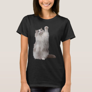 Camiseta Delicioso Gato Fluffy Ragdoll
