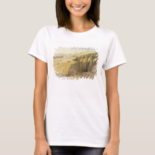 Camiseta Derr, Egipto, 1867 (w/c en el papel)