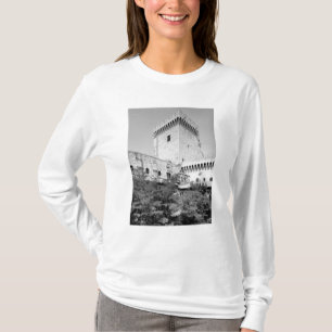 Camiseta DES Papes, Palais Vieux de Palais de Benedicto XII