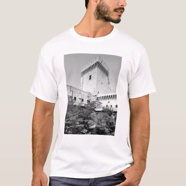 Camiseta DES Papes, Palais Vieux de Palais de Benedicto XII (Anverso)