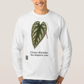 Camiseta Descolor del Cisso