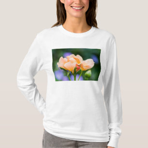 Camiseta deseo desplegándose