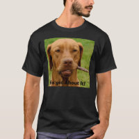 Desgaste de Rhett por mis creaciones de Ridgebacks