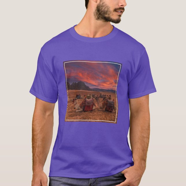 Camiseta Desiertos | Camels Sinai Mountains Egipto (Anverso)