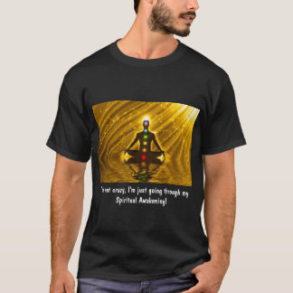 CAMISETA DESPERTAMIENTO ESPIRITUAL... NO ES LOCO....CASTILL