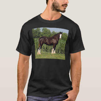 Camiseta destino