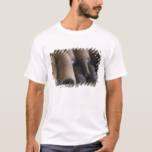 Camiseta Detalle de botellas polvorientas sur lattes sobre
