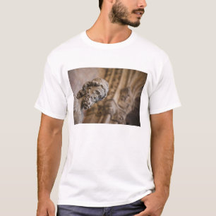 Camiseta Detalle de claustros estatua del patriarca Zacaría