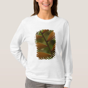 Camiseta Detalle de palmeras subterráneas. Bosque de nubes