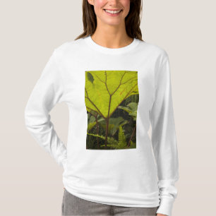 Camiseta Detalle de planta en un jardín botánico, Ecuador 2