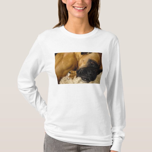 Camiseta Detalle de un Boxer (Anverso)
