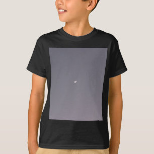 Camiseta Detectar la luna