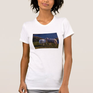 Camiseta Devon del sur dos ovejas en la costa costa alejada