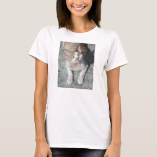Camiseta devon rex lindo