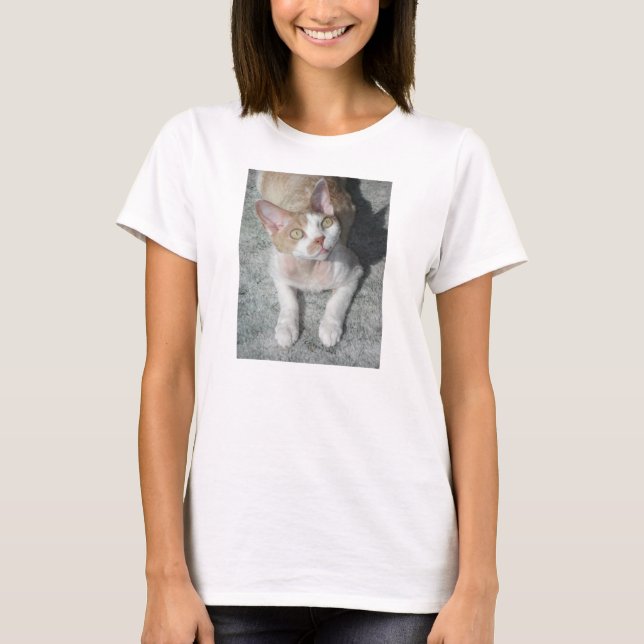 Camiseta devon rex lindo (Anverso)
