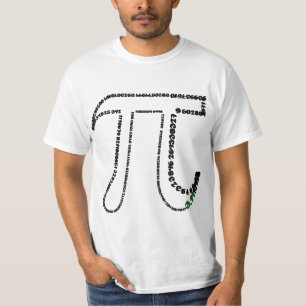 Camiseta Día de Pi Completo
