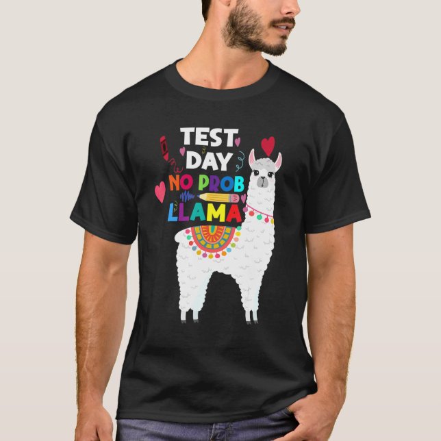 Camiseta Día de prueba de profesores sin Prob Llama Prueba  (Anverso)