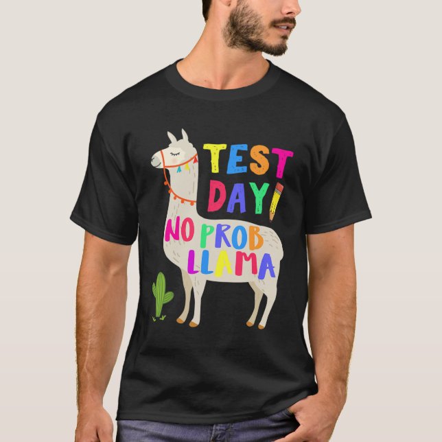 Camiseta Día Sin Prob Llama Divertida Prueba de Maestros 1 (Anverso)