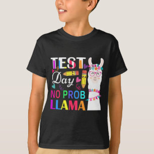 Camiseta Día Sin Prob Llama Divertida Prueba de Maestros 2