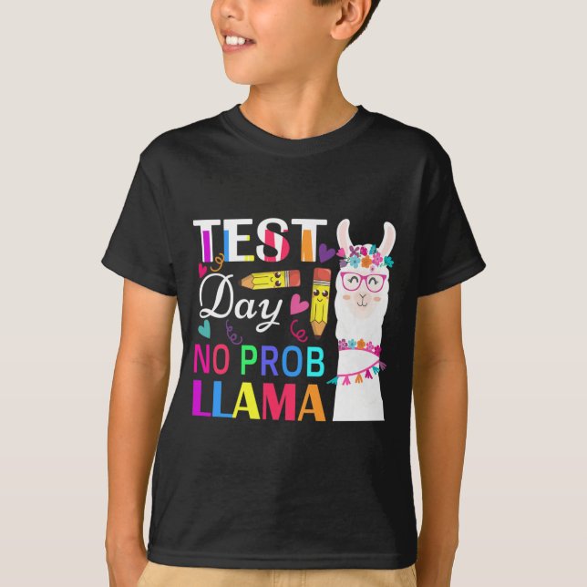 Camiseta Día Sin Prob Llama Divertida Prueba de Maestros 2 (Anverso)