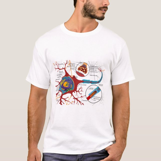 Camiseta Diagram Complete Neuron Cell Nerve Nervous System  (Anverso)