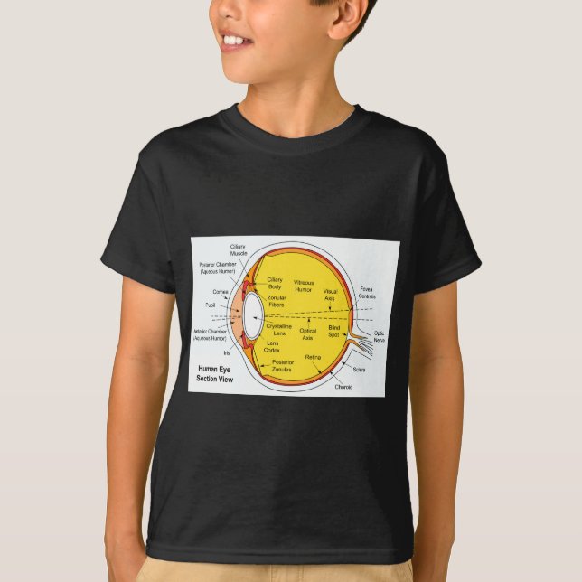 Camiseta Diagrama anatómico de la bola del ojo humano (Anverso)