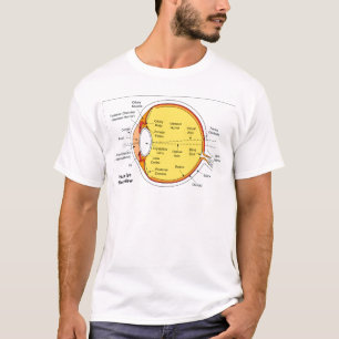 Camiseta Diagrama anatómico de la bola del ojo humano
