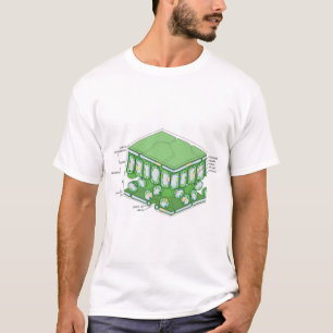 Camiseta Diagrama de celda de estructura de tejido de hoja
