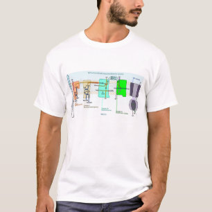 Camiseta Diagrama de espacio de Mitonchondrial