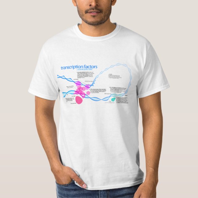 Camiseta Diagrama de los factores de la transcripción del (Anverso)