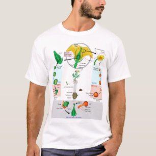 Camiseta Diagrama del Ciclo de Vida de la Planta Floral Ang