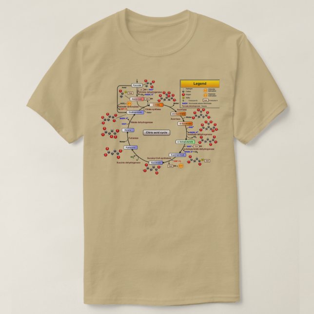 Camiseta Diagrama del ciclo del ciclo del Acido Cítrico TCA (Diseño del anverso)