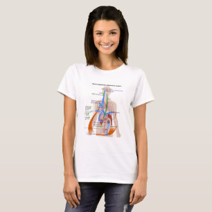 Camiseta Diagrama del cuerpo humano del sistema renina-angi