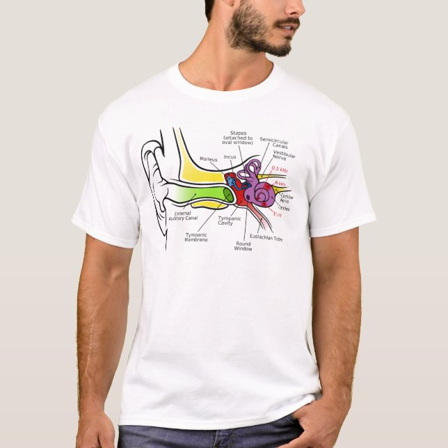 Camiseta Diagrama humano del oído con el trazado coclear de (Anverso)