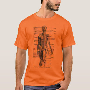 Camiseta Diagrama médico de cuerpo humano Tee - 4 estudiant