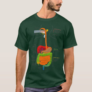 Camiseta Diagrama Médico de Órganos Digestivos