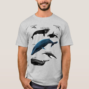 CAMISETA DÍAS DE BALLENAS