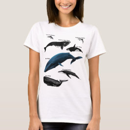 CAMISETA DÍAS DE BALLENAS