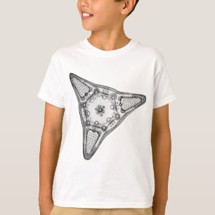 Camiseta Diatomea